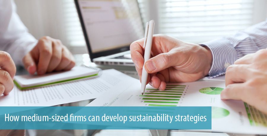 How medium-sized firms can develop sustainability strategies