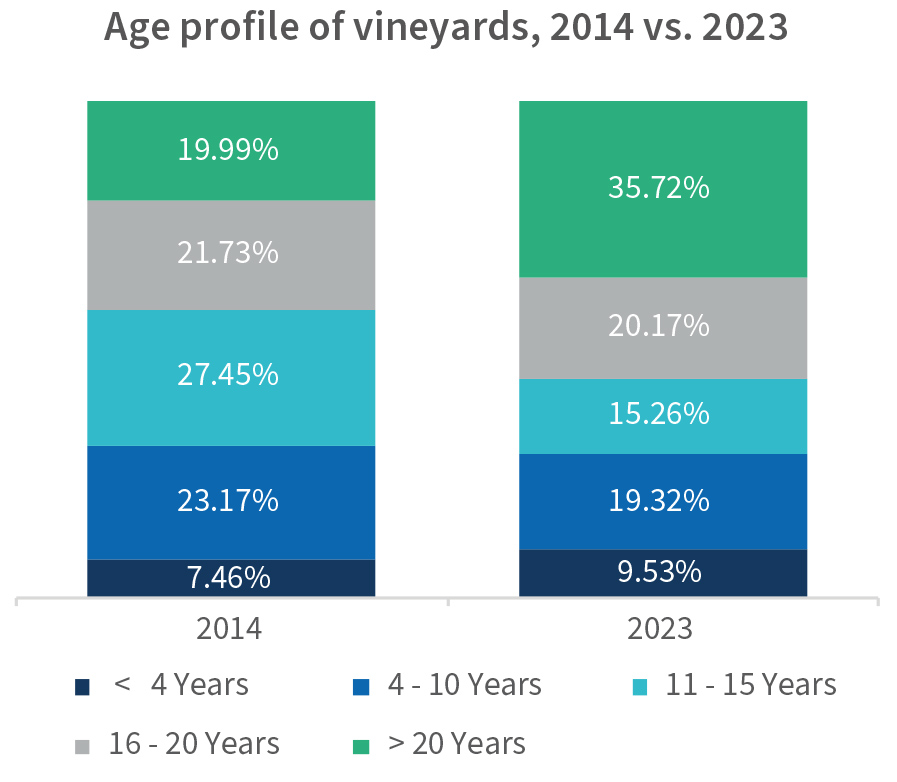 Financial pressures mount for South Africa’s economically important wine industry