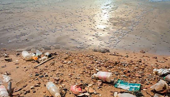 8 million tons of plastic waste ends up in oceans a year