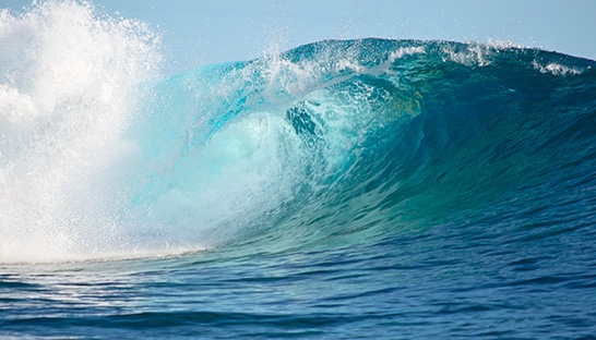 Menter Môn hires consultants to run Environmental Impact Assessments