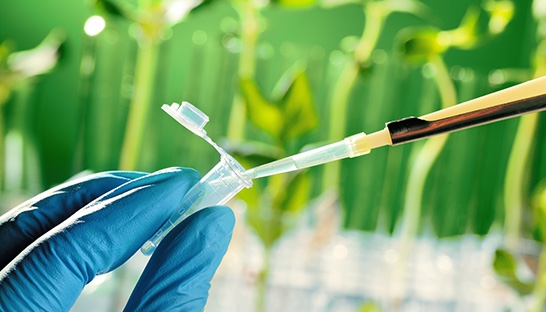 Cambridge Consultants partners with incubator Clearbridge Accelerator