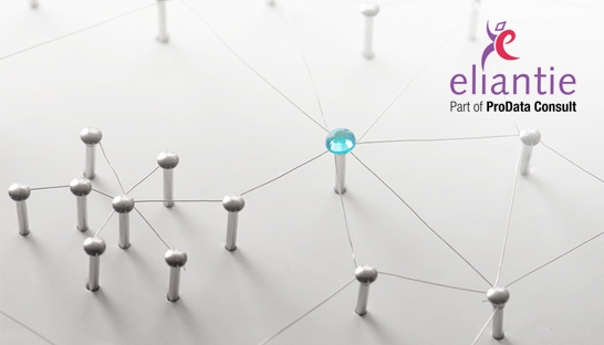 Danish IT consultancy ProData Consult buys Dutch player Eliantie