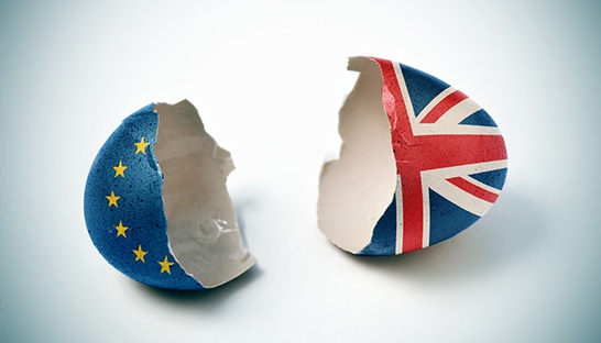 Hard Brexit threatens to bite food and drink sector investment