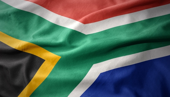 $9 billion South African business and management consulting market slows