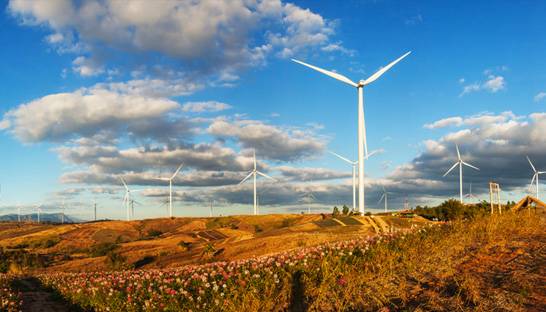 WWF and EY call government to invest $2 billion in renewables