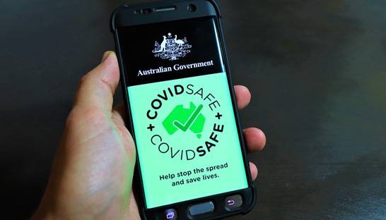 BCG's fees for COVIDSafe app surpass $1 million mark