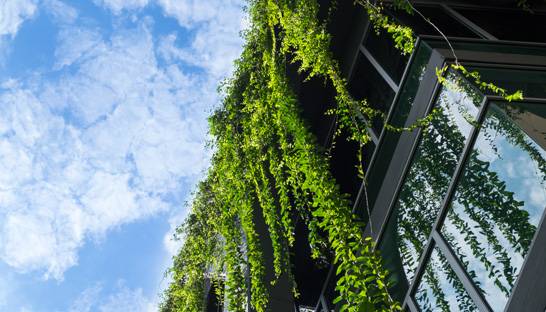 FTI Consulting brings its ESG Compass offering to Asia