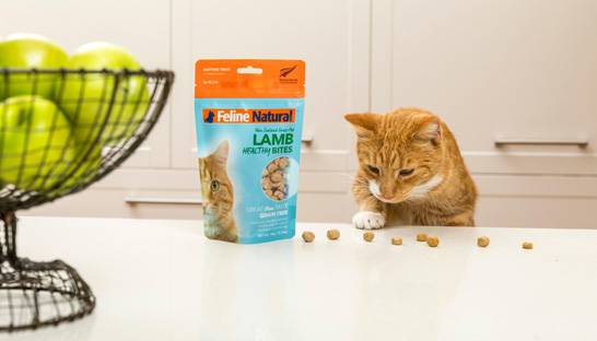 PwC's M&A consultants running Natural Pet Food Group sale