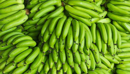 Bananas giant Mackay's enlists KPMG for Oracle implementation