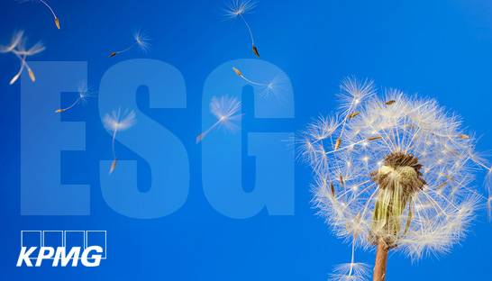 KPMG investing over $1 billion in sustainability and ESG services