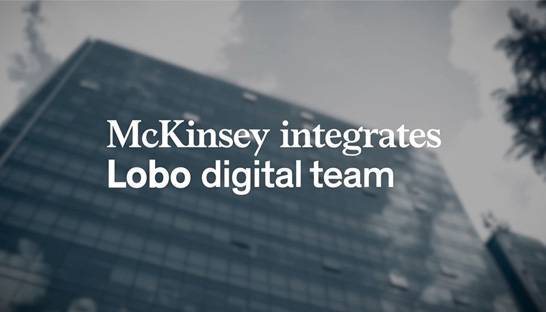 McKinsey & Company acquires Argentinian digital agency Lobo