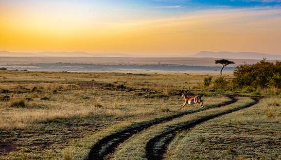 DEFRA selects PwC as manager of Biodiverse Landscape Fund