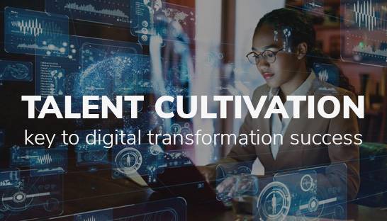 Talent cultivation key to digital transformation success
