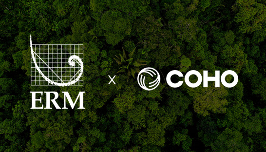 ERM acquires energy and water advisory firm Coho