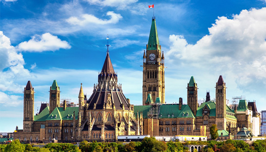 Internal audits of McKinsey federal contracts raise fairness concerns