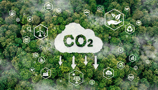 KPMG Canada launches Decarbonization Hub