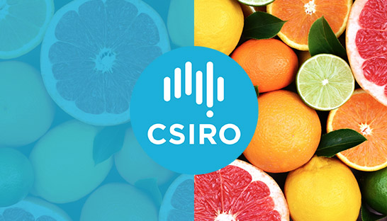 Science agency CSIRO taps McKinsey for organisational review
