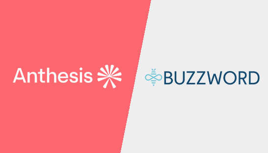 Anthesis acquires sustainability reporting specialist BuzzWord