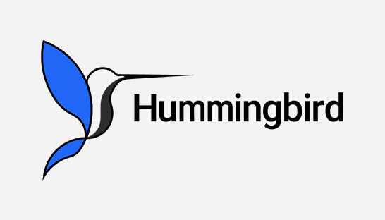 AI consulting venture PS Hummingbird expands into Australia