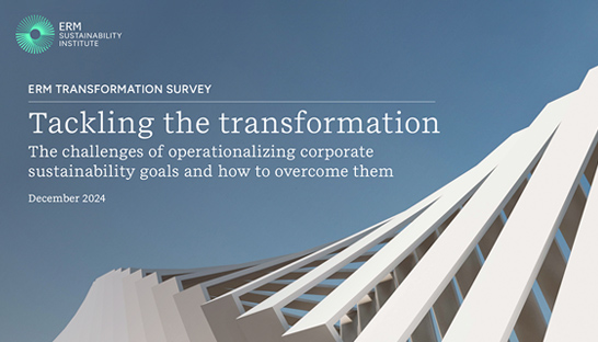 Rift on ESG execution emerges between managers and C-suite