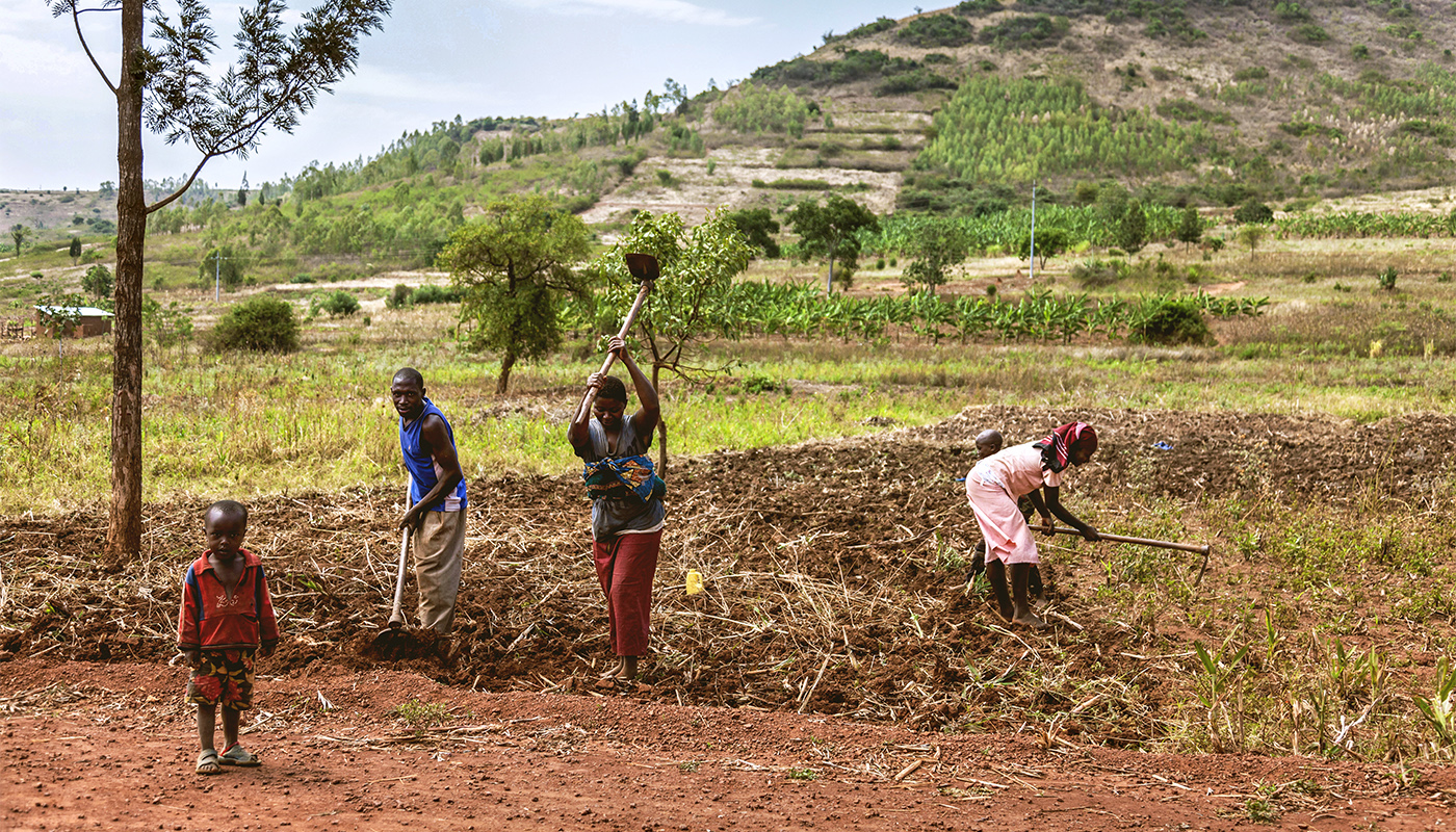 NewForesight supported the Letaba Catchment Partnership in Limpopo